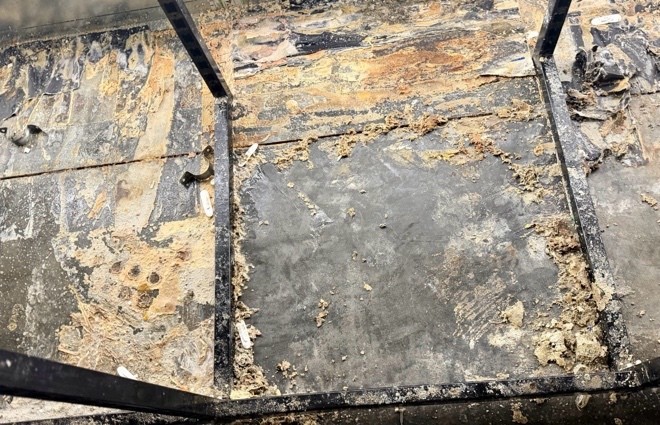 Before cleaning