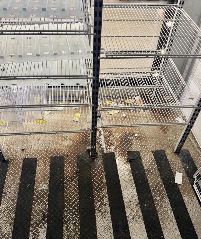 Before cleaning